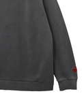 PANDIESTA(パンディエスタ) |SB PANDIESTA スケートパンダ ピグメント クルー スウェット(564561 MENS)