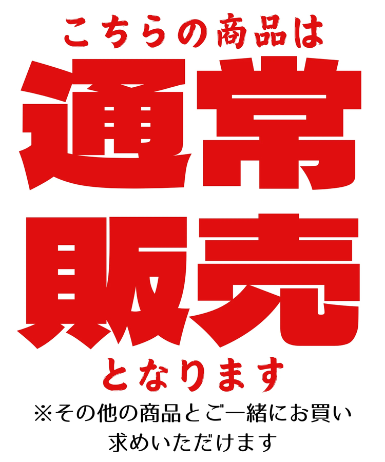 PANDIESTA(パンディエスタ) |SB PANDIESTA パンドラゴン ドライメッシュTee(585889 MENS)