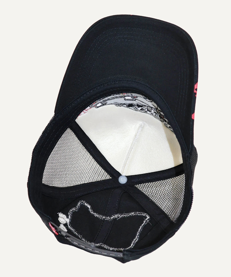 PANDIESTA(パンディエスタ) |SB PANDIESTA ハコノリ パンダ サイドメッシュ キャップ(536959 MENS/WOMENS）